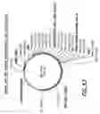 Fig. 77 - HIV vaccines based on Env of multiple clades of HIV