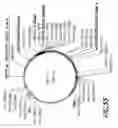 Fig. 79 - HIV vaccines based on Env of multiple clades of HIV