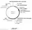 Fig. 81 - HIV vaccines based on Env of multiple clades of HIV