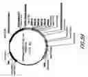 Fig. 83 - HIV vaccines based on Env of multiple clades of HIV
