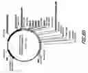 Fig. 84 - HIV vaccines based on Env of multiple clades of HIV