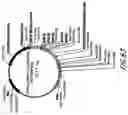 Fig. 87 - HIV vaccines based on Env of multiple clades of HIV