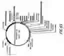 Fig. 89 - HIV vaccines based on Env of multiple clades of HIV