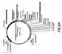 Fig. 92 - HIV vaccines based on Env of multiple clades of HIV