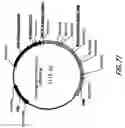 Fig. 95 - HIV vaccines based on Env of multiple clades of HIV