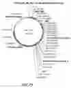 Fig. 97 - HIV vaccines based on Env of multiple clades of HIV