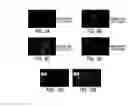 Fig. 09 - Methods for in vitro expansion and transdifferentiation of human pancreatic acinar cells into insulin-producing cells