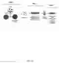 Fig. 02 - Method of forming dendritic cells from embryonic stem cells