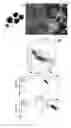 Fig. 05 - Method of forming dendritic cells from embryonic stem cells