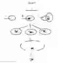Fig. 06 - Cell and virus catabolism