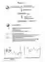 Fig. 02 - RNA interference mediated inhibition of gene expression using chemically modified short interfering nucleic acid (siNA)