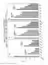 Fig. 31 - RNA interference mediated inhibition of gene expression using chemically modified short interfering nucleic acid (siNA)