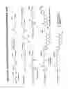 Fig. 43 - RNA interference mediated inhibition of gene expression using chemically modified short interfering nucleic acid (siNA)