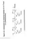 Fig. 49 - RNA interference mediated inhibition of gene expression using chemically modified short interfering nucleic acid (siNA)