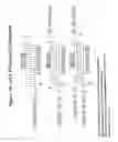 Fig. 60 - RNA interference mediated inhibition of gene expression using chemically modified short interfering nucleic acid (siNA)