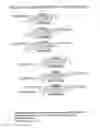 Fig. 66 - RNA interference mediated inhibition of gene expression using chemically modified short interfering nucleic acid (siNA)