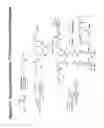 Fig. 72 - RNA interference mediated inhibition of gene expression using chemically modified short interfering nucleic acid (siNA)