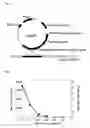 Fig. 02 - Method for introducing a gene into 
