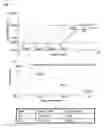 Fig. 06 - Method for introducing a gene into 