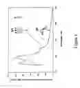 Fig. 07 - Misfolded protein sensor method in body fluids