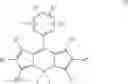 Fig. 05 - Fluorescent probes