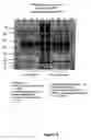 Fig. 03 - Methods for reducing the range in concentrations of analyte species in a sample