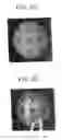 Fig. 04 - Light-controlled electrokinetic assembly of particles near surfaces
