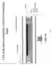 Fig. 03 - Barrier films for plastic substrates fabricated by atomic layer deposition