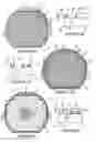 Fig. 07 - Semiconductor components and methods of fabrication with circuit side contacts, conductive vias and backside conductors