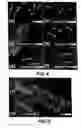 Fig. 06 - Fabricating nanoscale and atomic scale devices