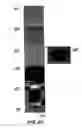 Fig. 28 - Fabricating nanoscale and atomic scale devices