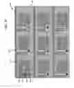 Fig. 20 - Structure and method for thin film device