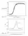 Fig. 06 - Selective implementation of barrier layers to achieve threshold voltage control in CMOS device fabrication with high k dielectrics