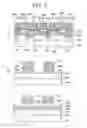 Fig. 03 - Semiconductor intergrated circuit device and process for producing the same