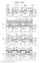 Fig. 19 - Semiconductor intergrated circuit device and process for producing the same