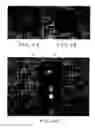 Fig. 04 - Sequential lateral solidification mask