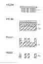 Fig. 03 - Method for manufacturing metal microstructure