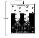 Fig. 01 - Macroporous silicon microcavity with tunable pore size