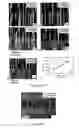 Fig. 09 - Macroporous silicon microcavity with tunable pore size