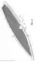 Fig. 05 - Surfboard having a honeycomb core