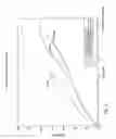 Fig. 04 - Polyethylene fabric with improved physical properties and method for making thereof