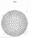 Fig. 02 - GOLF BALL WITH NON-CIRCULAR DIMPLES