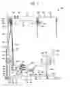 Fig. 12 - Exercise apparatus for seated user, and related methods