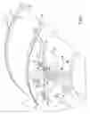 Fig. 04 - Method and machine for folding and finishing training pant diapers