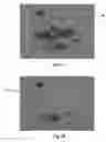 Fig. 07 - Method for masking and removing stains from rugged solid surfaces