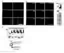 Fig. 01 - Increasing functional glycosylation of alpha-dystroglycan in the treatment of muscle degeneration