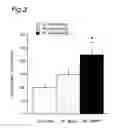 Fig. 04 - Remedy for diabetes