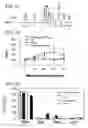 Fig. 07 - Materials and methods for treatment of allergic diseases