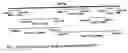 Fig. 02 - Full length polynucleotide coding chicken type II collagen and the use of it