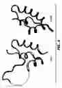Fig. 04 - Crystallization of IGF-1